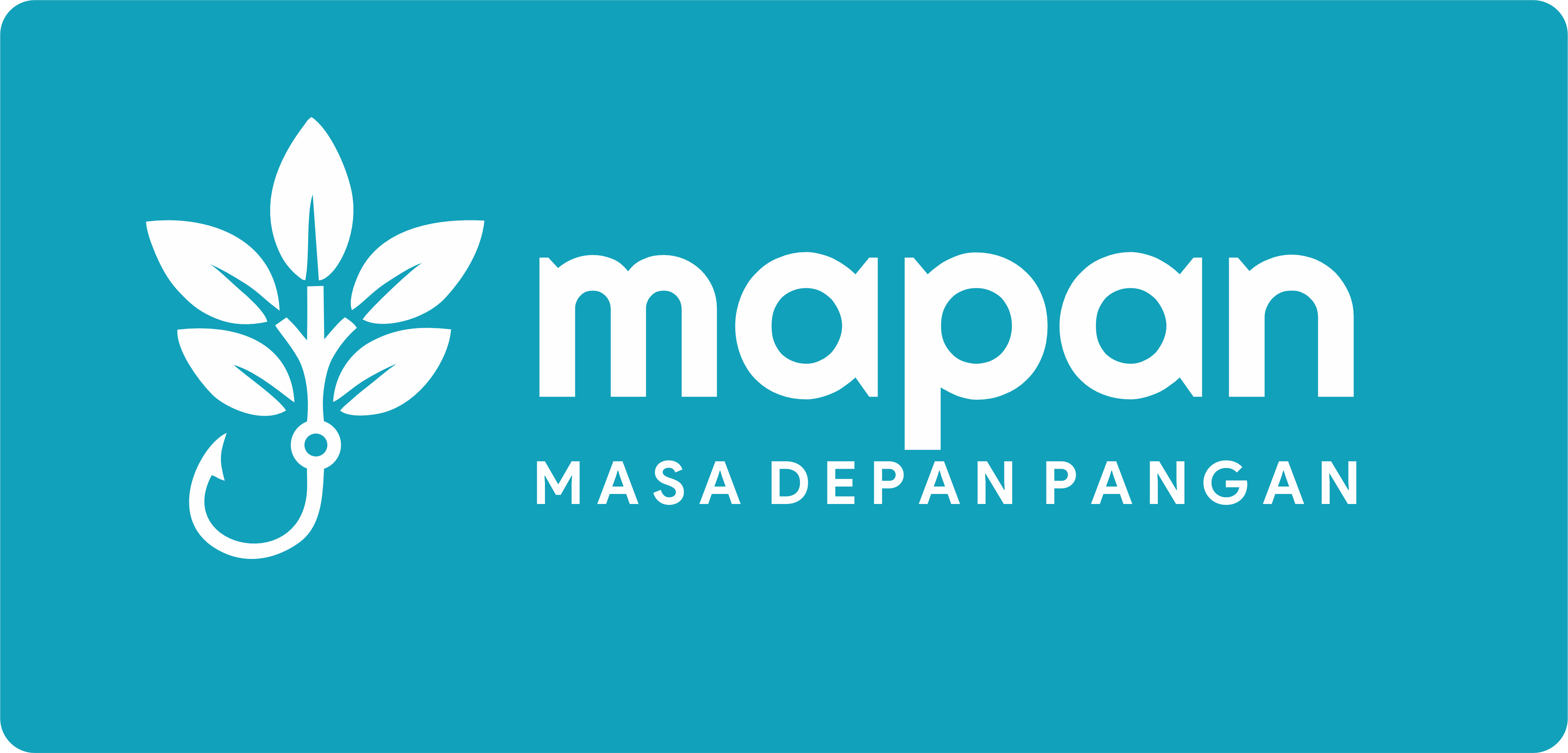 Tentang Mapan