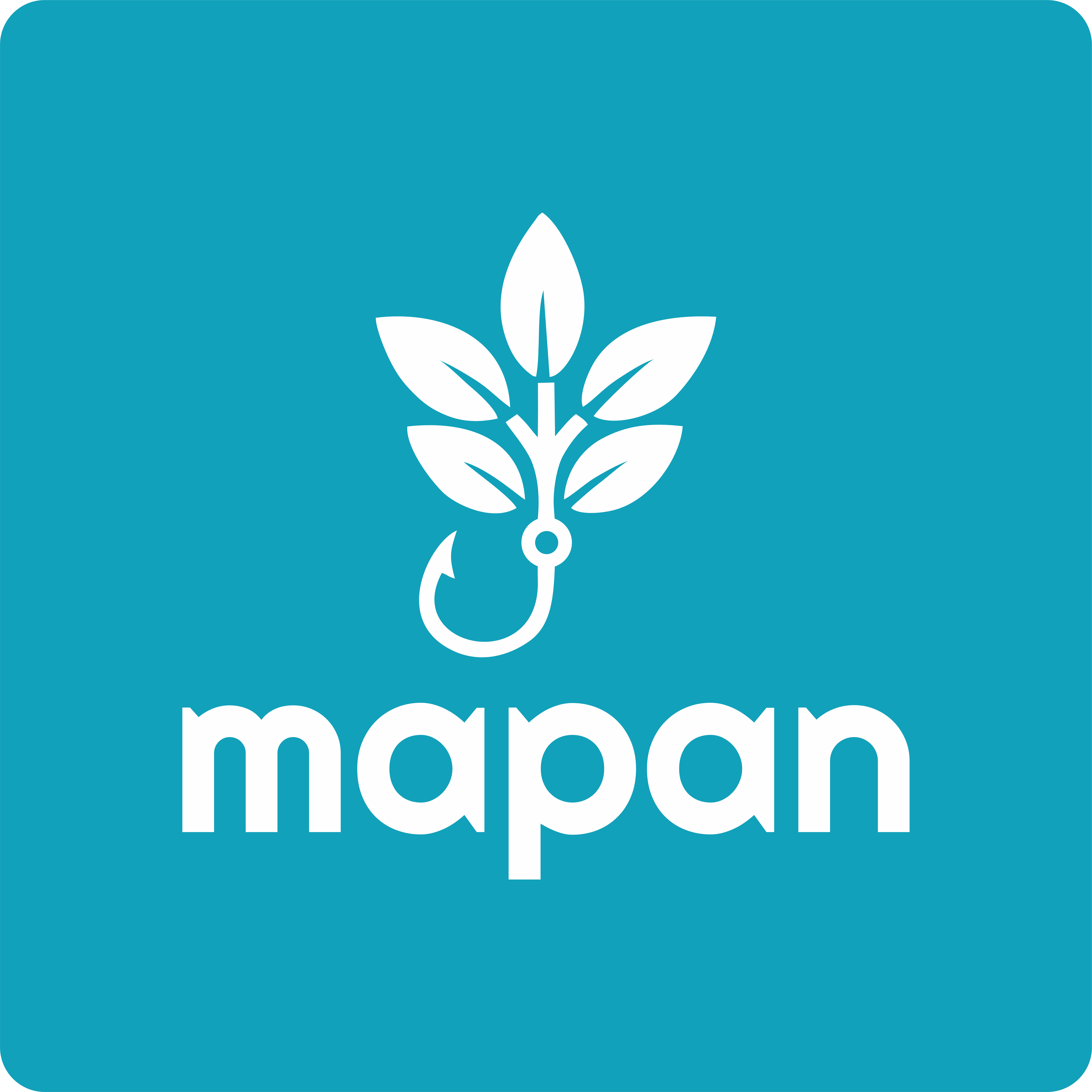 Tentang Mapan