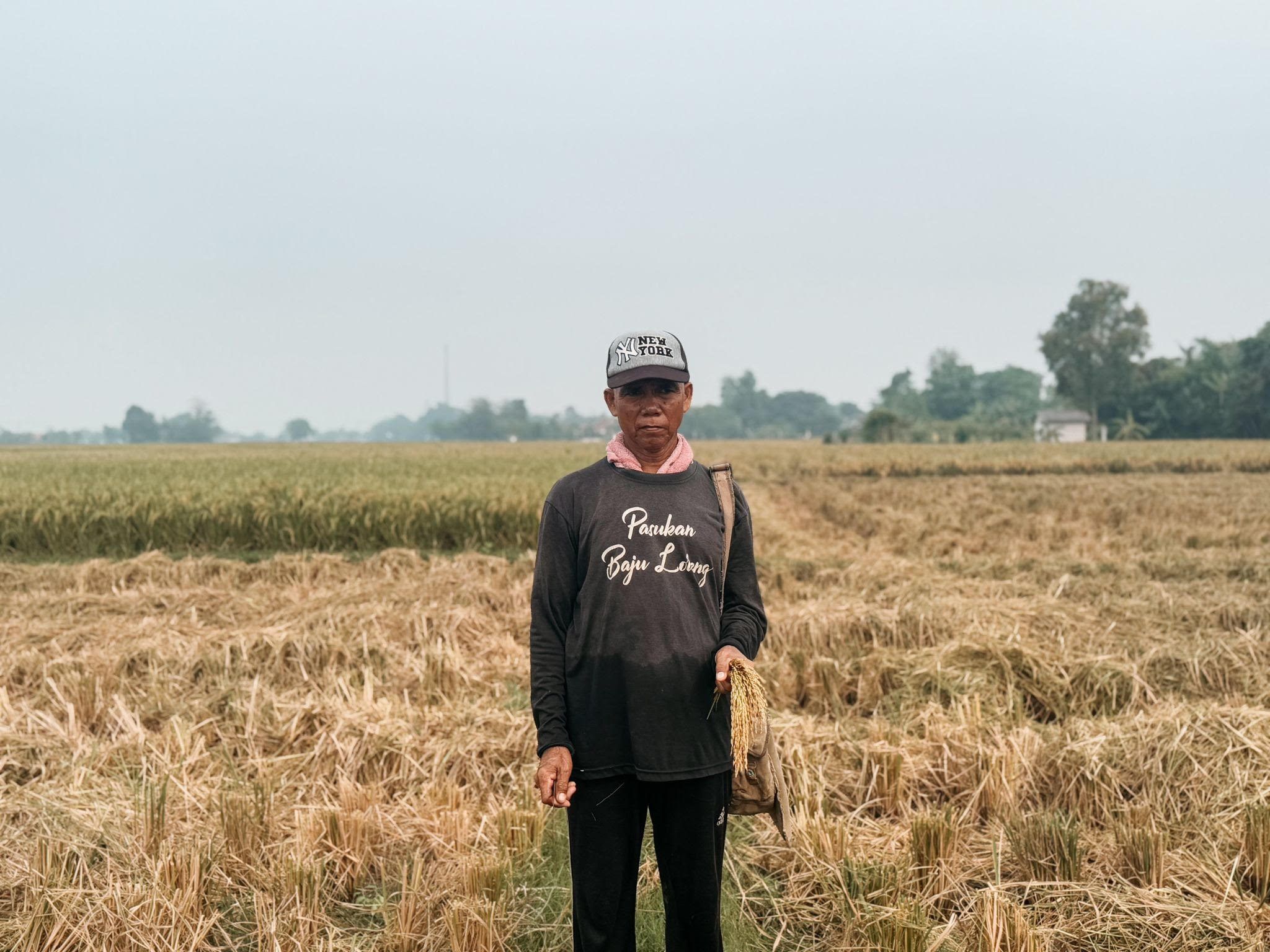 Adis, petani asal Karawang, harus menyewa lahan dan meminjam modal untuk bisa bekerja. (Kredit foto: CIPS)